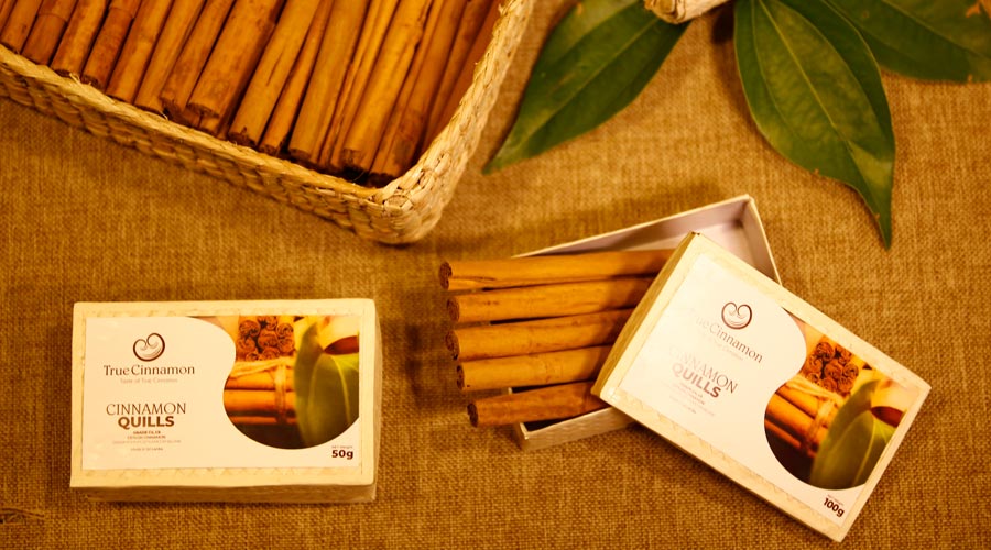 Cinnamon supplier in Sri Lanka